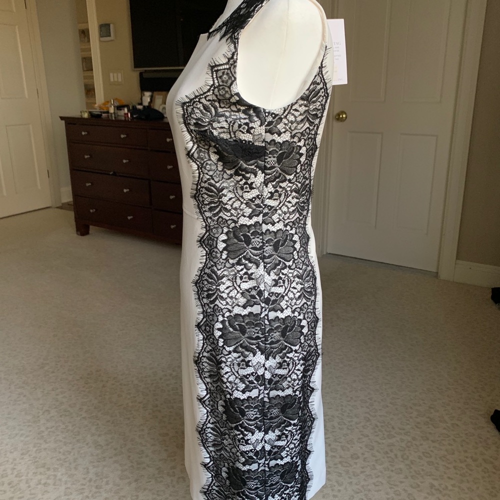 Hayden white sheath dress with black lace (sz 4) - Picture 6 of 10